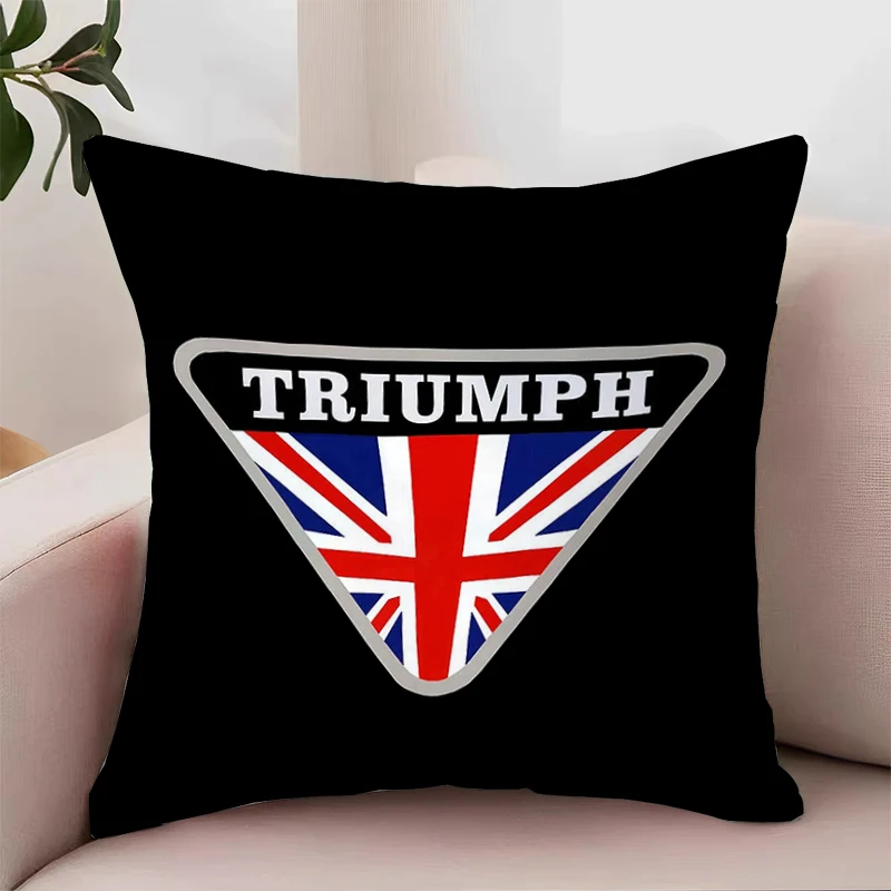 

T-Triumph Bed Pillowcases Pillow Cases 45x45 Cushions Cover for Living Room Cushions Pillow Covers Decorative Luxury Home Decor