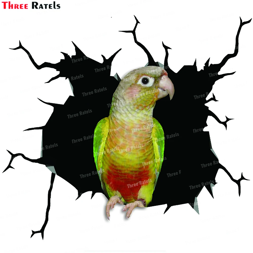 Three Ratels BV Parrot Stickers Car Accessories Auto Decals Decor Anime Vinyl Material Film Car Decals