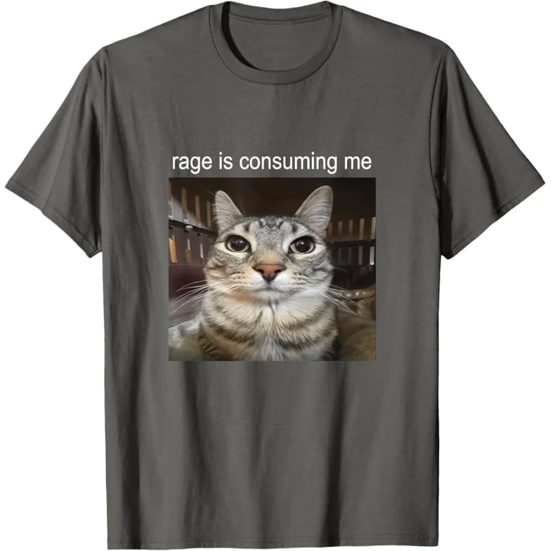 Rage Is Consuming Me Silly Staring Cat Meme T-Shirt