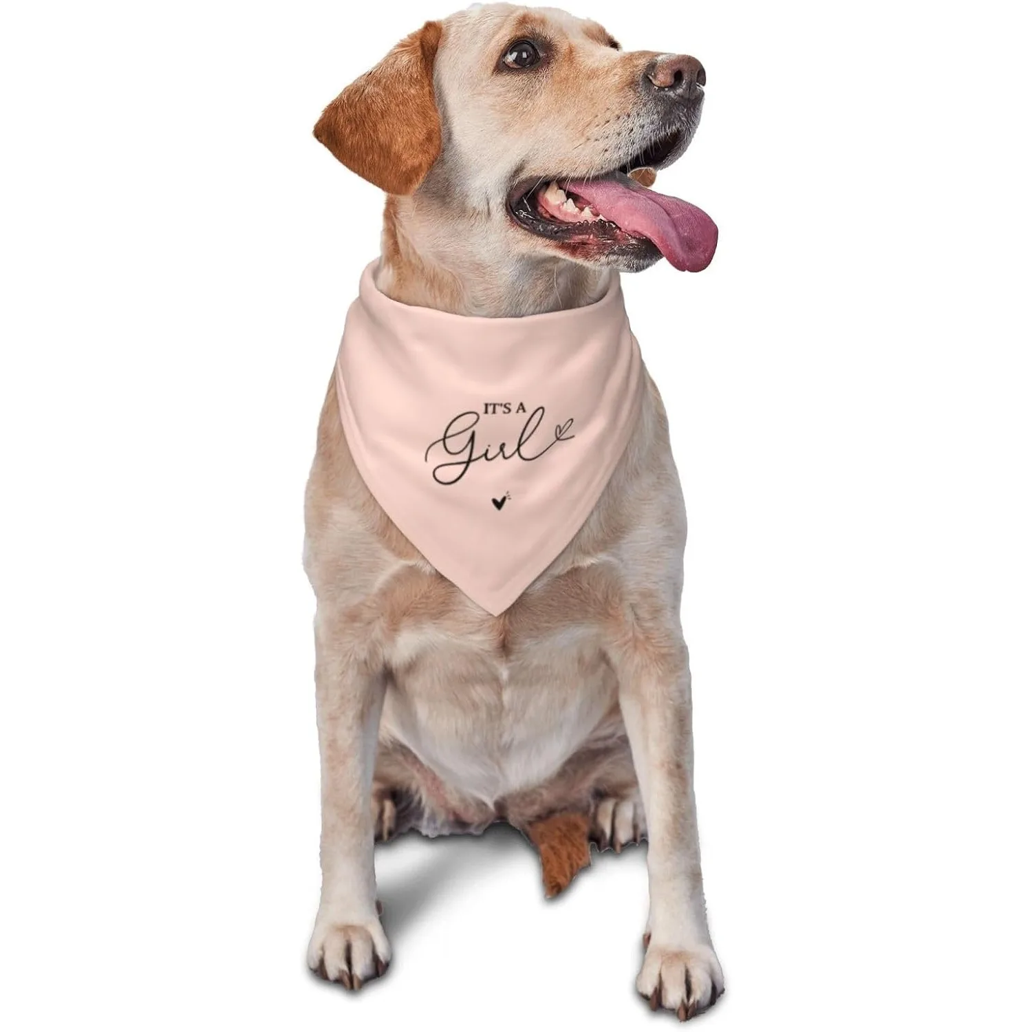It's A Boy It's A Girl Gender Reveal Dog Bandana, Reversible, Pregnancy Announcement