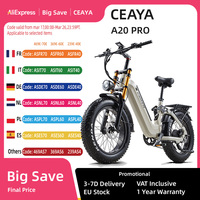 2025 CEAYA AZ20 Pro 20 Inch Electric Bike 48V20AH Removeable Battery Brushless Rear Hub Motor 3.5 Inch Display Double Suspension