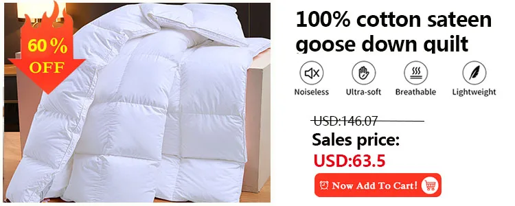 KDJEIKZ Microfiber Is Thickened by 3D Beanie Velvet to Protect the Warm Winter Blanket by Single Double Fall and Winter
