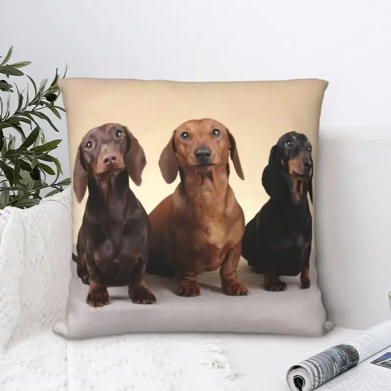 Dachshund Pillow Cover Home Decor Badger Sausage the Wiener Dog Cushion Cover Throw Pillow for Living Room Double-sided Printing