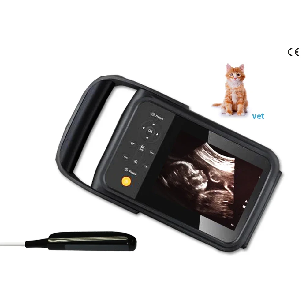 Sunbright hot selling veterinary ultrasound SUN-808F for vet animal portable ultrasound scanner