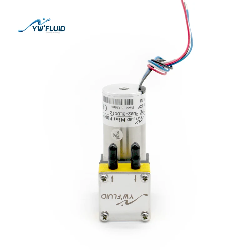 Mini Micro BLDC Brushless Diaphragm Pump 12V 24V Large Flow Air Pump For OEM Irrigation Agriculture Use 0.1Mpa Small Pumps