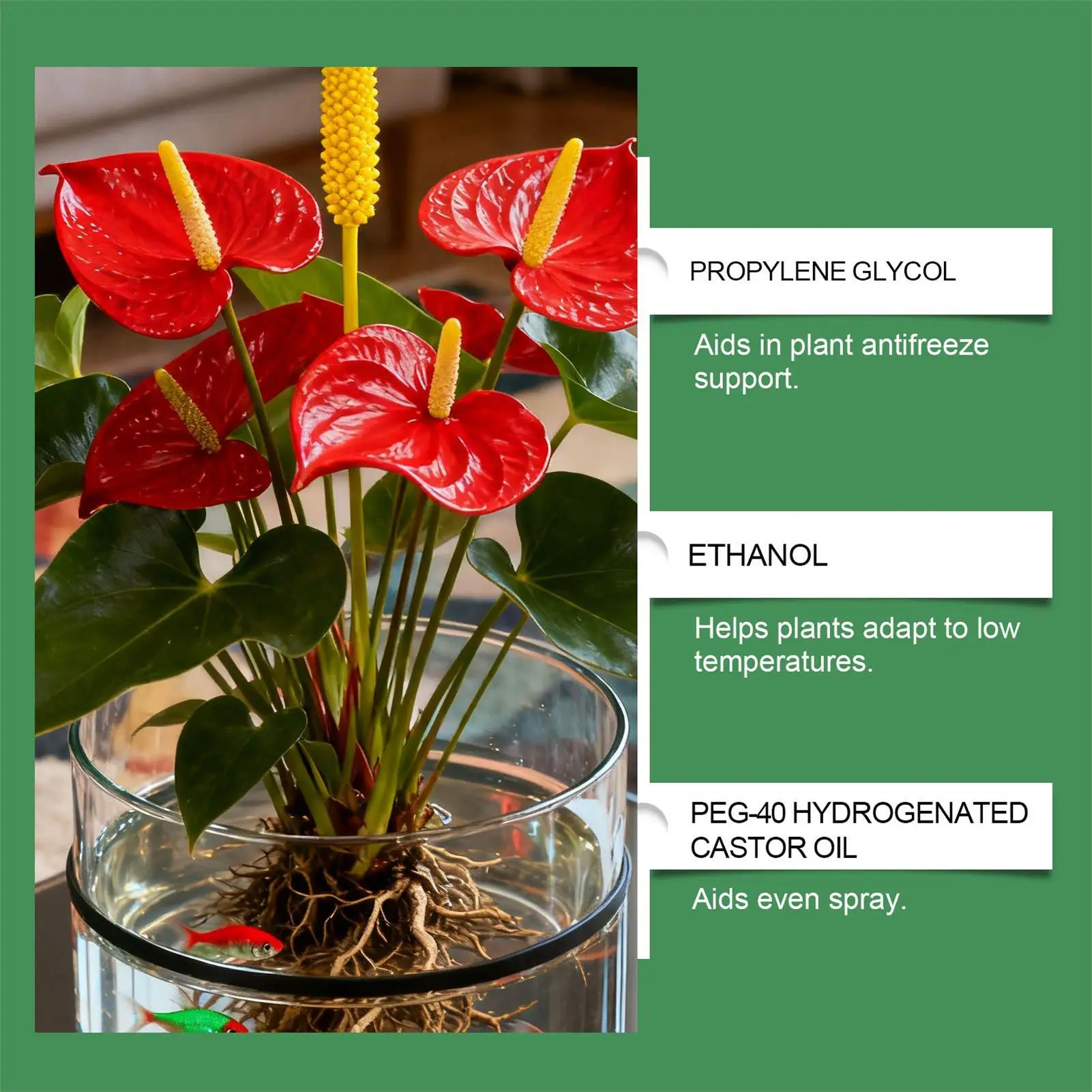Category image: Plant Anti-freeze Solution