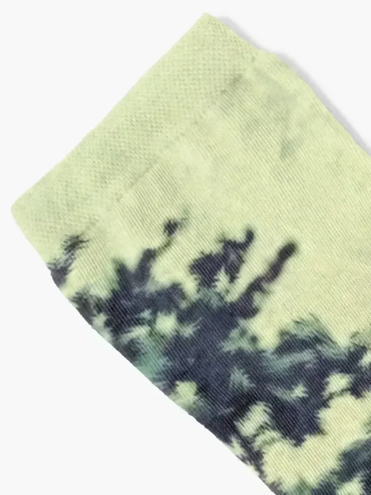 Views at Nagahama Socks Stockings valentine gift ideas designer brand with print Socks For Men Women's