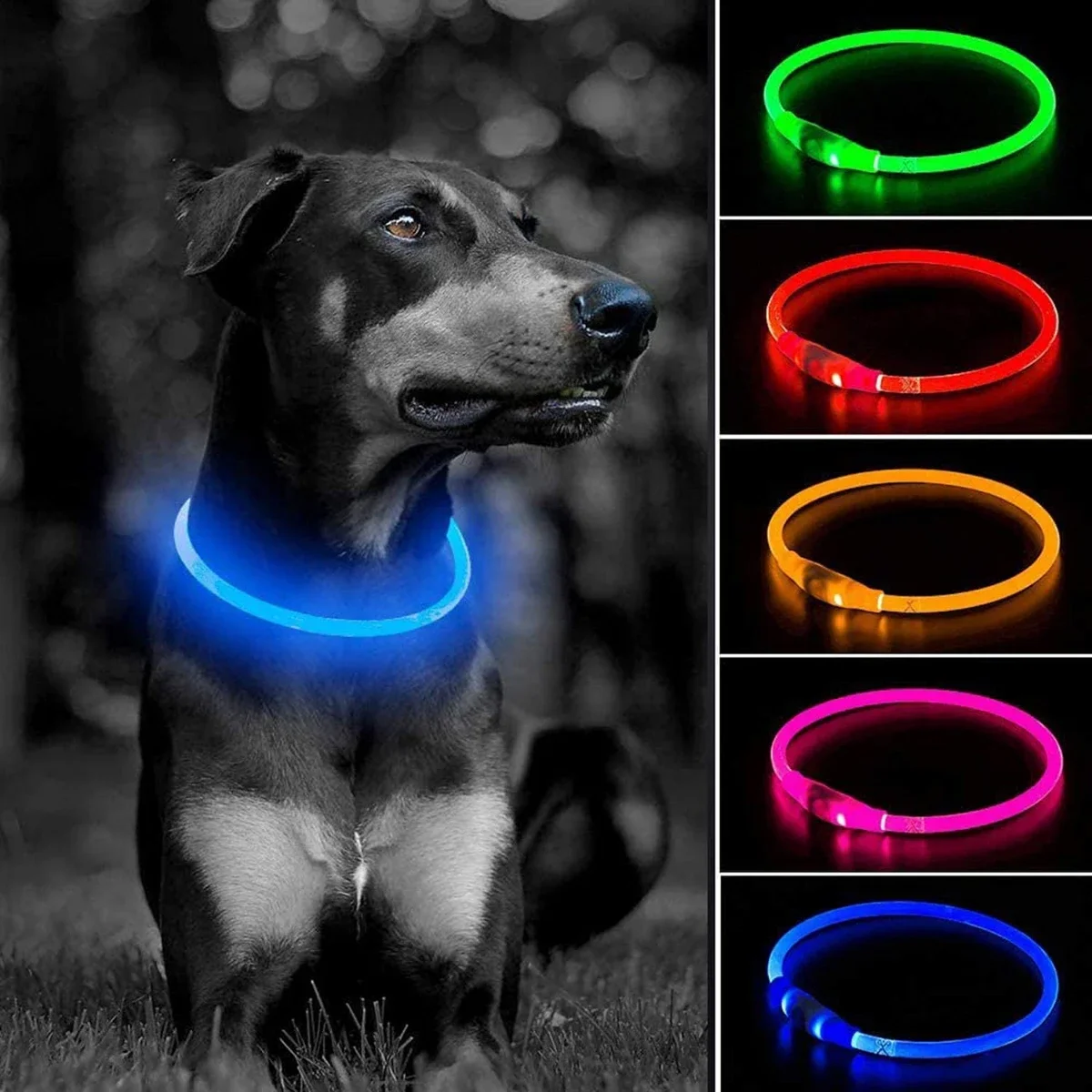 Pet Supplies Dog Collar Led Light Collar Dog Collar USB Rechargeable Pet Collar Outdoor Dog Walking Loss Prevention Collar Pets