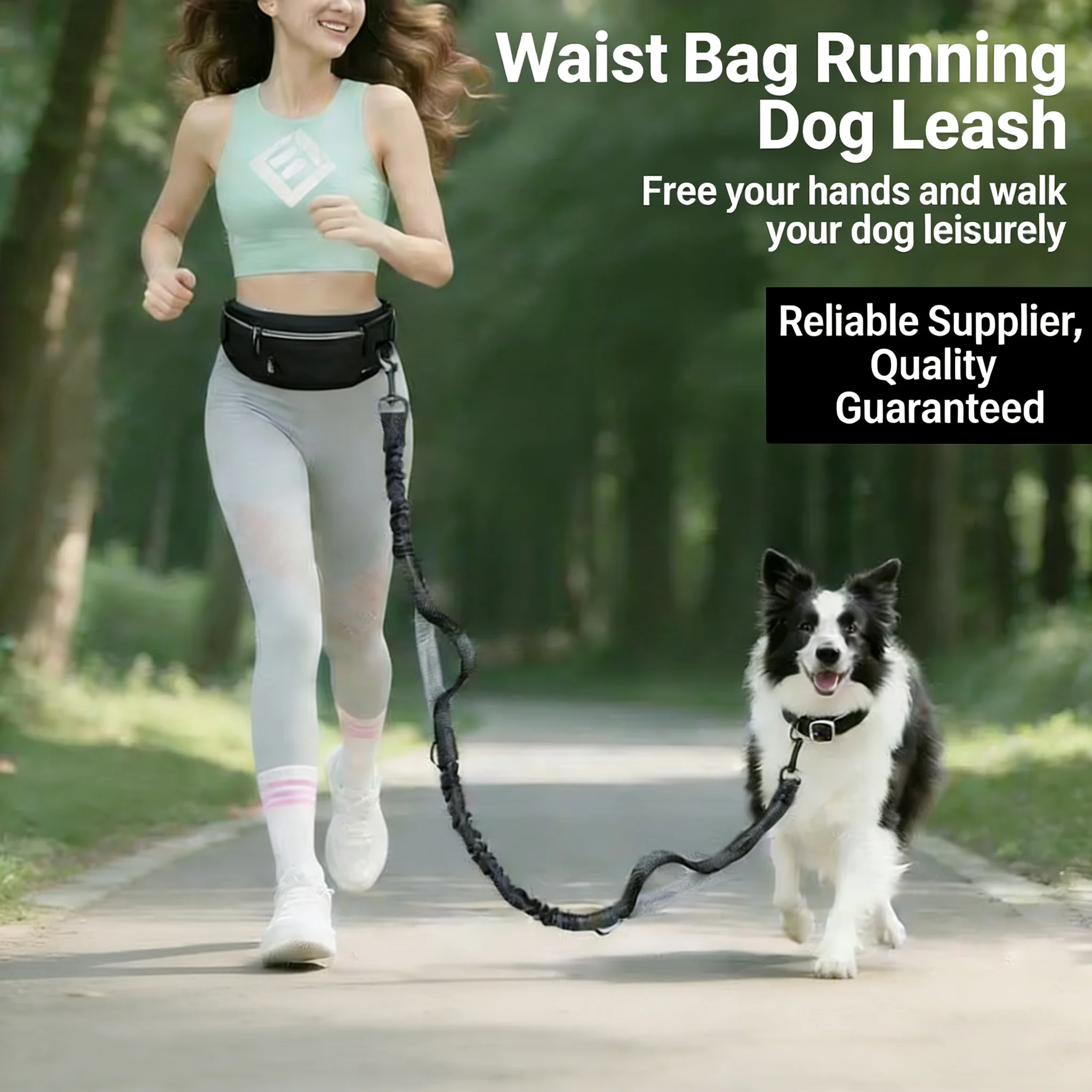 Pet Leash for Running with Wai - Sports Equipment Set review and price