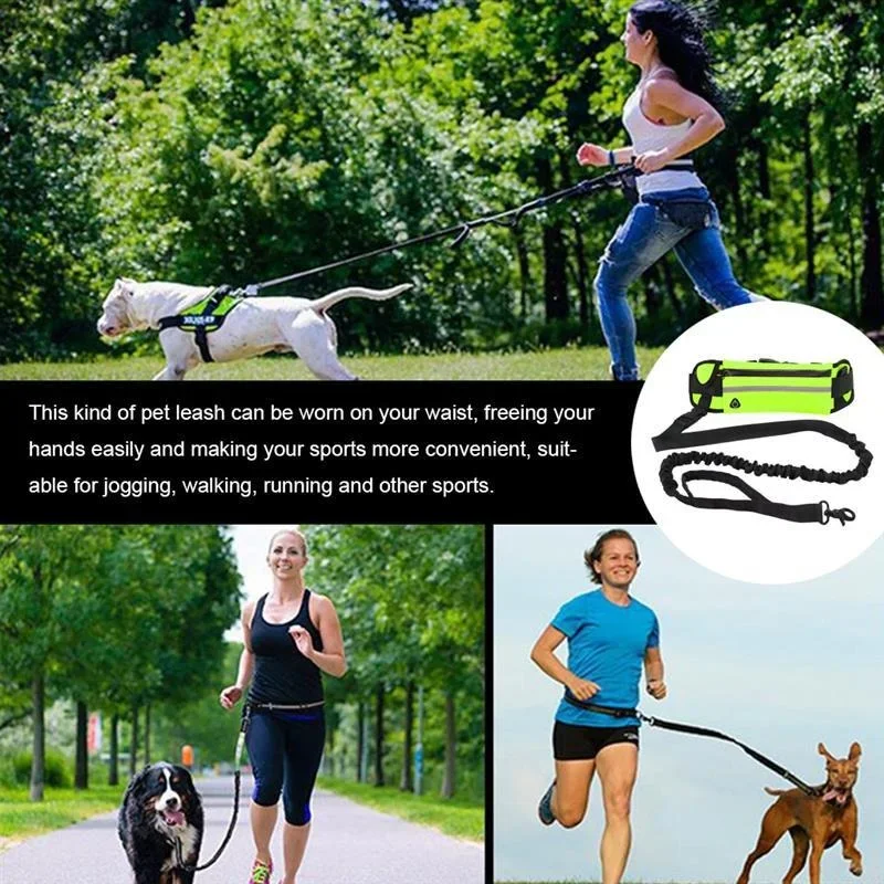 

Sports Belt Stretchable Elastic Band Outdoor Running and Dog Walking Nylon Material Waist Bag Set Hands-free Leash Collar Pet