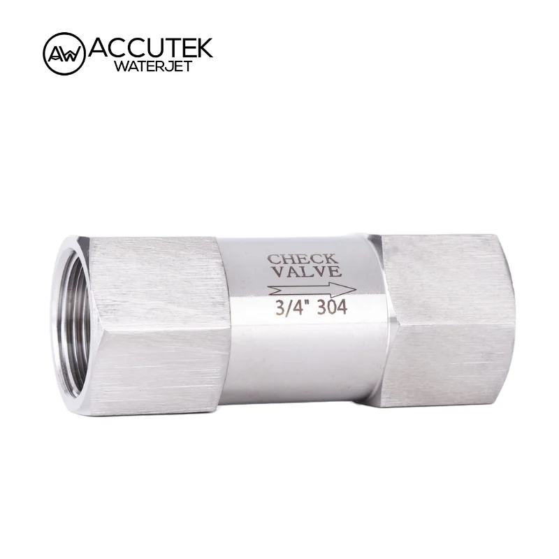 

AW® 304 316 Stainless Steel Check Valve One Way Non-retrun Valves Female Thread BSPP 1/8" 1/4" 3/8" 1/2" 3/4" 1"300psi