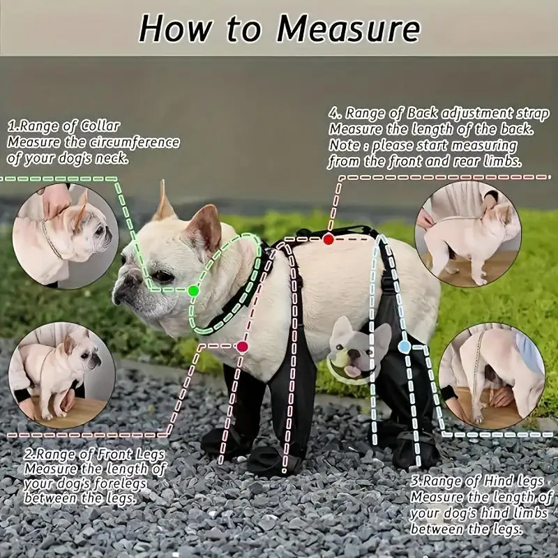 Thumbnail 3 - #18 New Dog Boots Arrivals