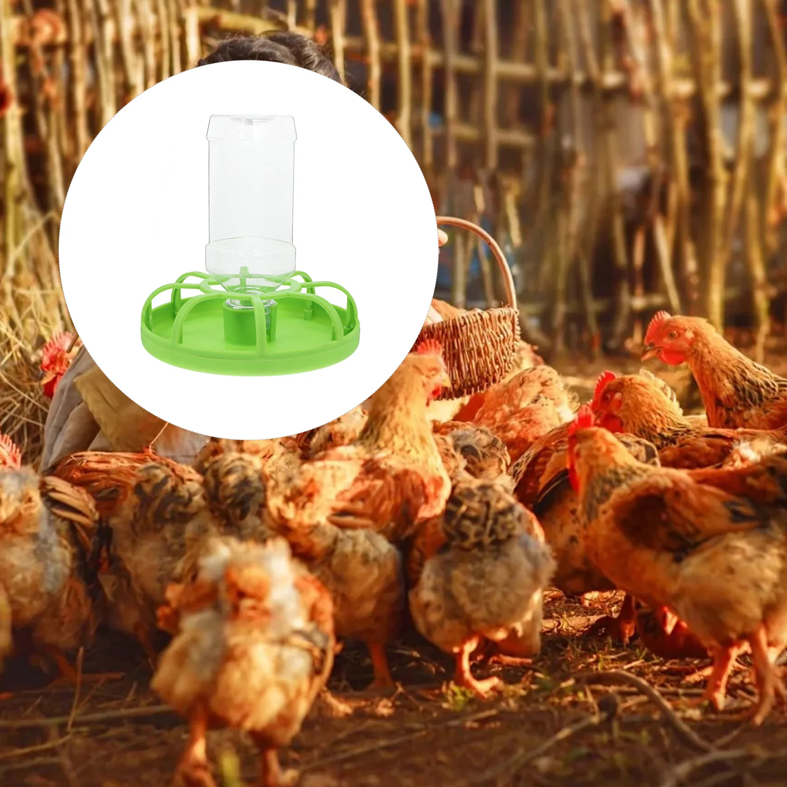 

Quail Feeder Large Capacity Durable Plastic Poultry Feeder For Chicken Ducks Small Birds Farm Home Use Feeding Bowl