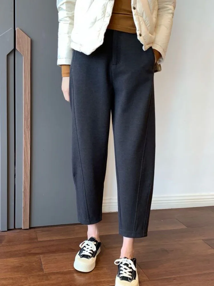 Winter Woolend Thick Harem Pants Casual High Waist Plush Velvet Pantalones Korean Fashion Warm Ankle-length Suit Pantalon Womens