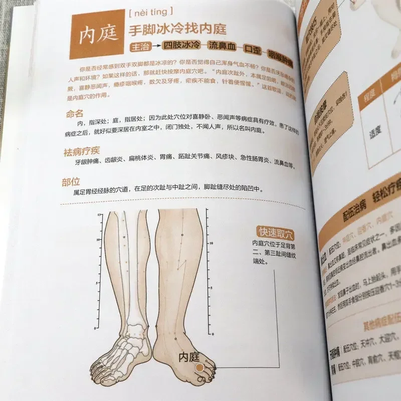 Meridian Acupuncture Point Massage Quick Reference Health Care Book for Family Chinese Version Graphic Guidebook