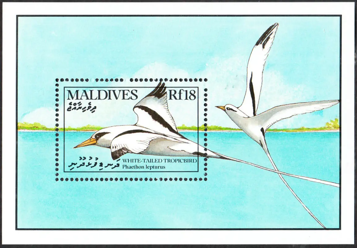 Briefmarken der Malediven, Poststempel Y1990, weißschwänziger Tropenmöwe, Seemöwe, 1 neue Sammlerbriefmarken, Material für Scrapbooking – Detail 1