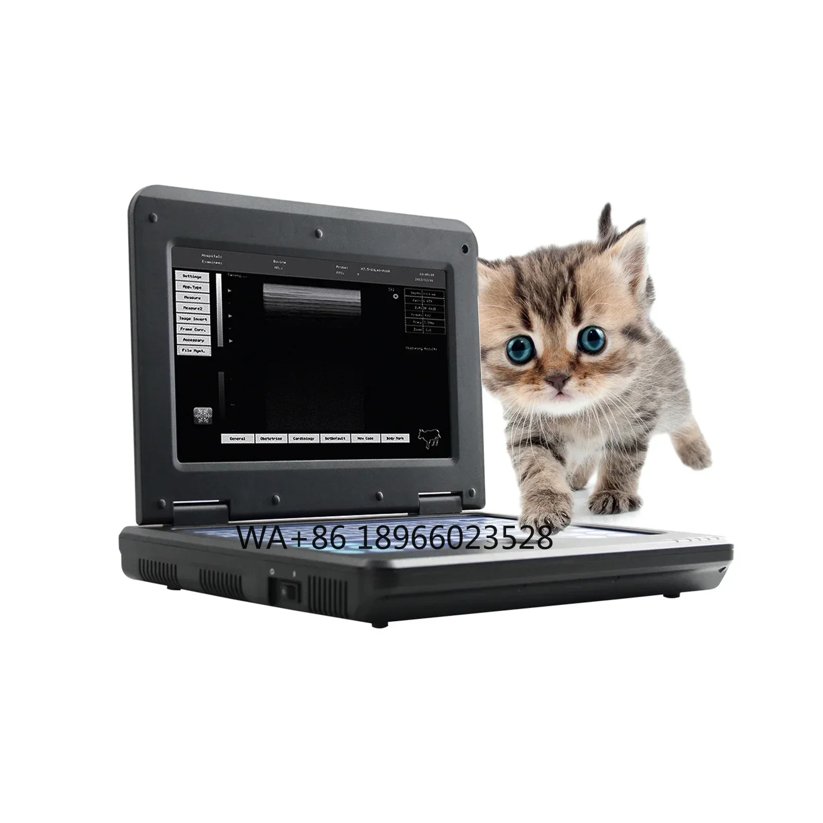 

CMS600P2 VET veterinary pet ultrasound machine for animal dog ultrasound ultrasonic equipment