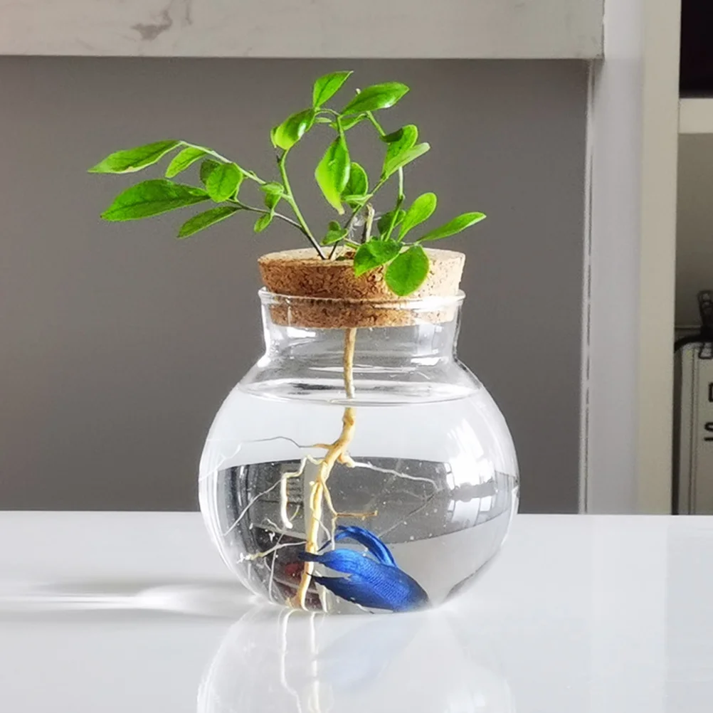 

Transparent Fish Bowl Goldfish Bowl Glass Flowerpot Desktop Decor Hydroponic Plant Container Terrarium Jar Moss Terrarium