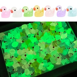 10/20pcs Luminous Mini Ducks Moss Micro Landscape Accessories Glow In Dark Ducks Figurines Fairy Garden Home DIY Decoration Gift