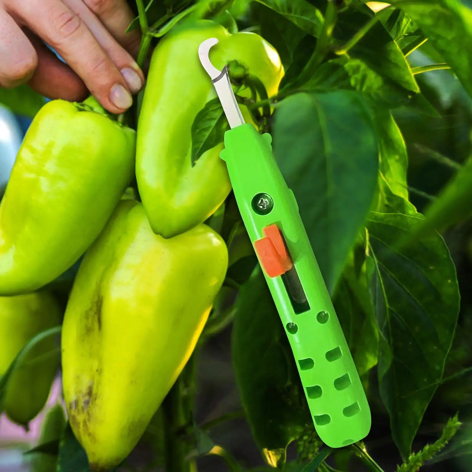 Strumento per la raccolta di verdure Raccoglitrice di pepe ergonomica veloce Strumento per la raccolta di potatura di fiori per uva melograno peperoncino pomodoro giardinaggio