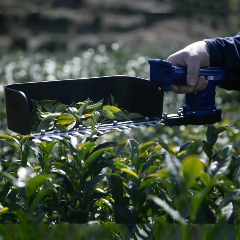 Professional Portable Cordless Picking Brushless Fast Speed High Efficiency Electric Harvester Machine