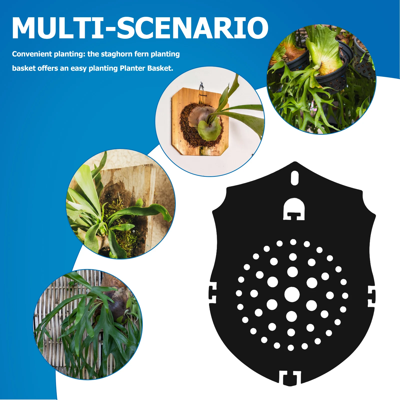 لوح زراعة السرخس من الأكريليك الأسود البلوري، حامل نباتات داخلي، سهل التركيب، ديكور منزلي ريفي عمودي