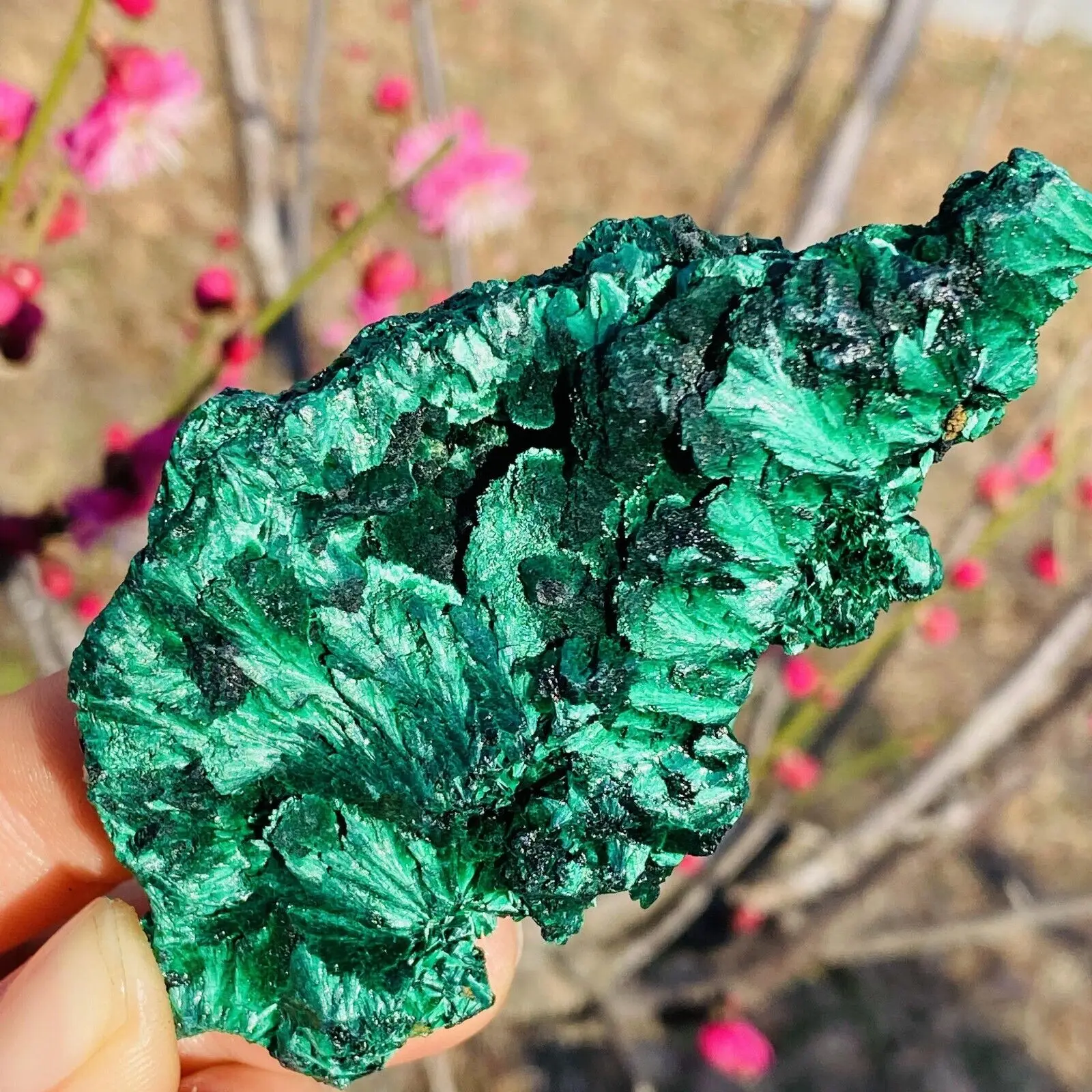 

Natural Velvet Malachite crystal Cluster Mineral Quartz Crystal Healing