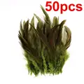 Olive 50PCS