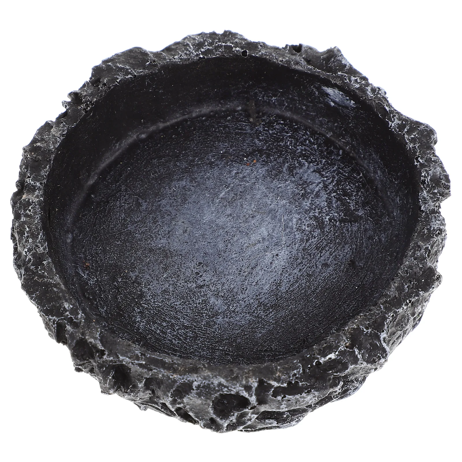 

Reptile Feeding Bowl Resin Anti Design Suitable Lizards Snakes Frogs Pet Supplies Reptile Dish Wear Resistant Water