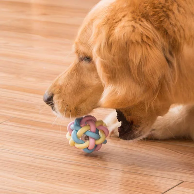 Thumbnail 3 - #12 Trending Puppy Fetch Toys Right Now