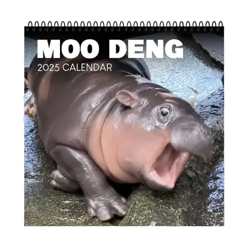 Trendy 2025 Moo Deng Calendar Creative Baby Hippo Hippopotamus Calendar Hanging 50pcs Copperplate Paper Desktop Decoration