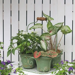 Ins Retro Garden Flower Ironwork Do Old Plant Basin Multi Grid Design Succulent Container for Balcony Courtyard Bonsai Pot