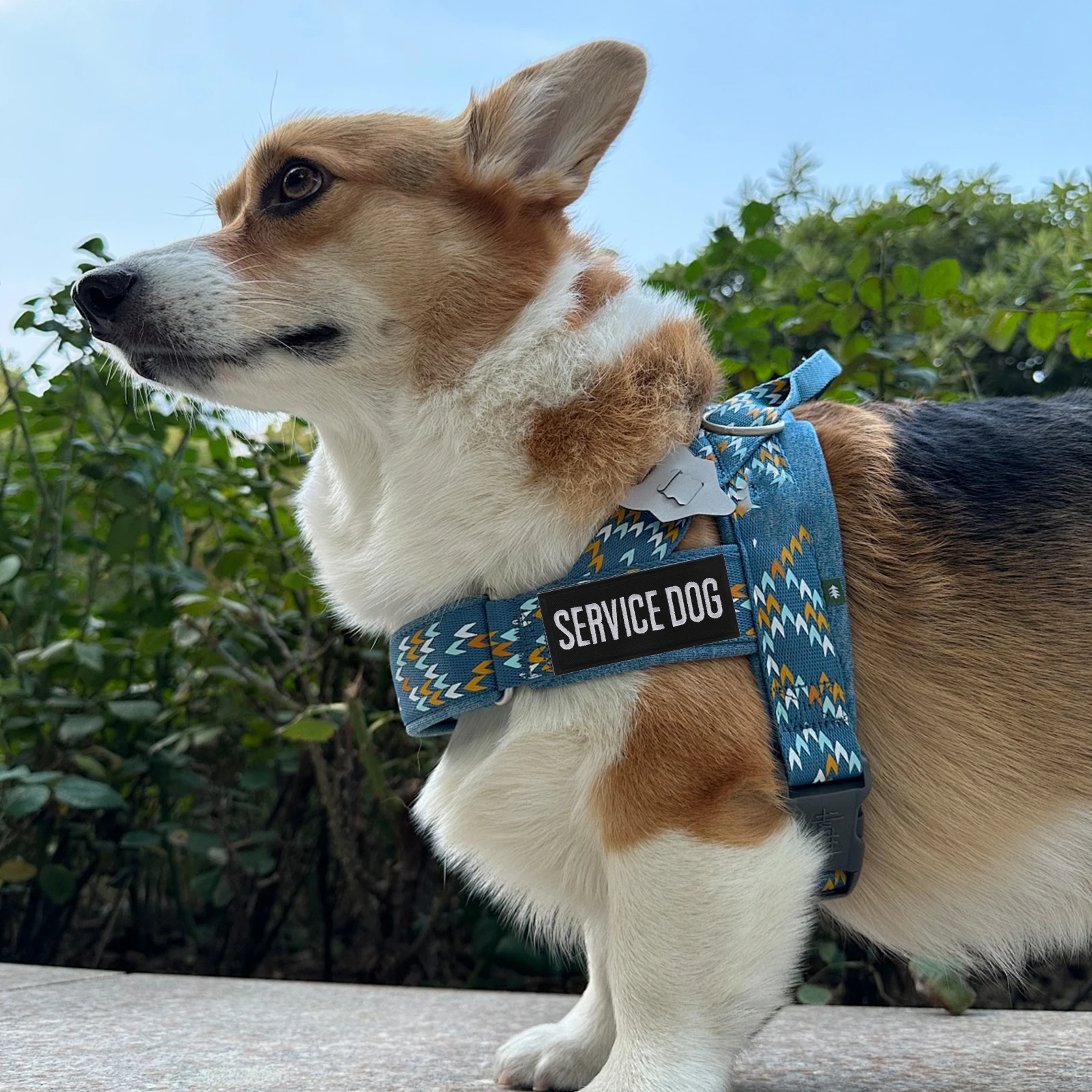 

2 Pcs Dog Back Crown Embroidered Patch Pet Harness Tag Belt Labels Polyester Service Vest
