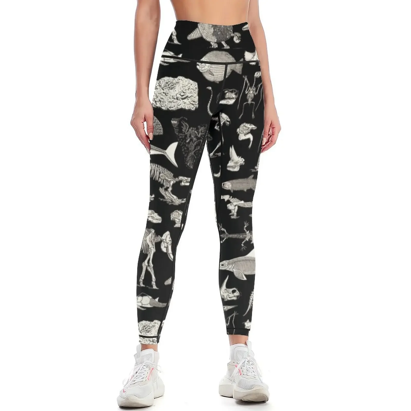 

Paleontology Illustration Leggings sports for legging push up Women's sports pants Womens Leggings