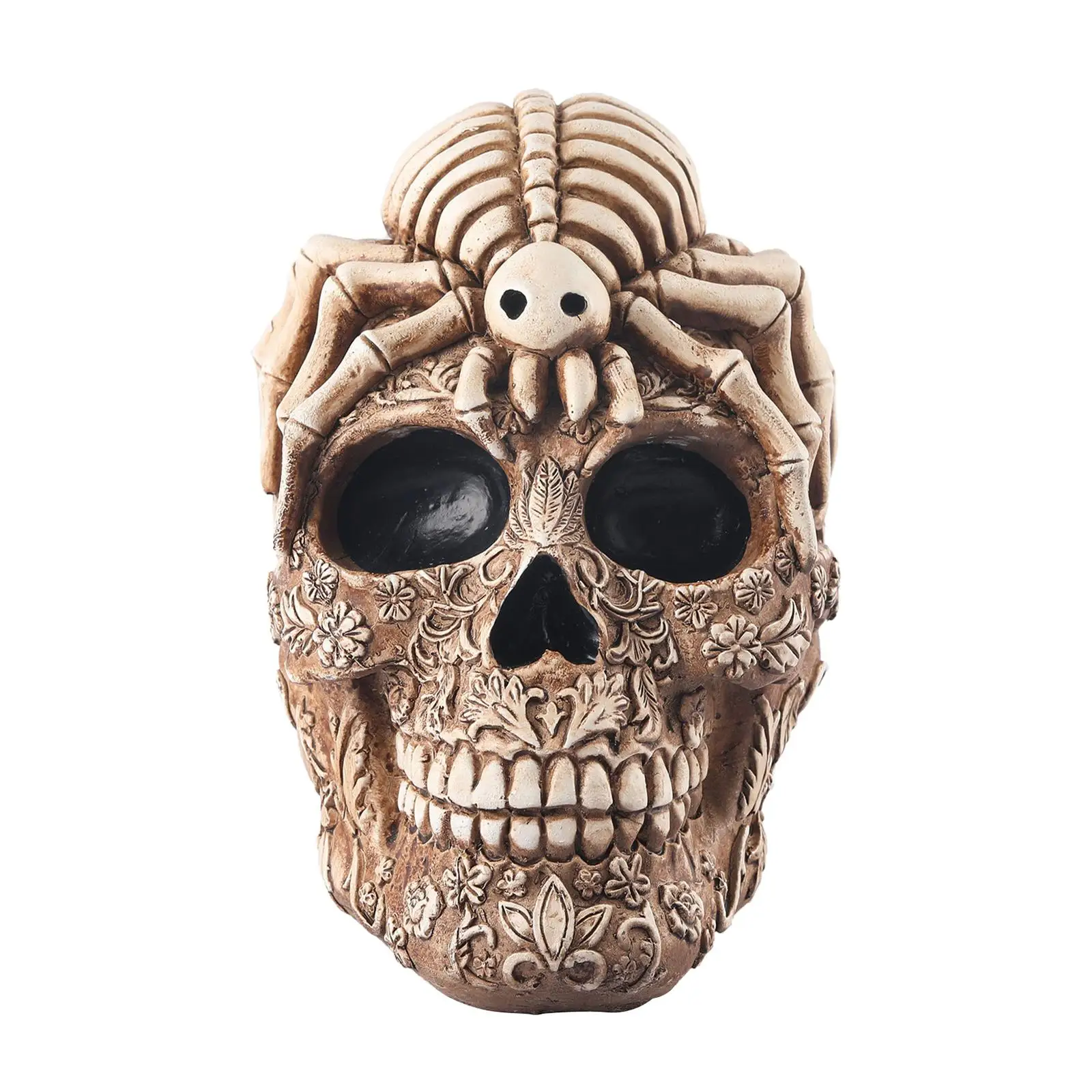 Resin Human Realistic Retro Simulation Model Art Teach Cranium Jaw