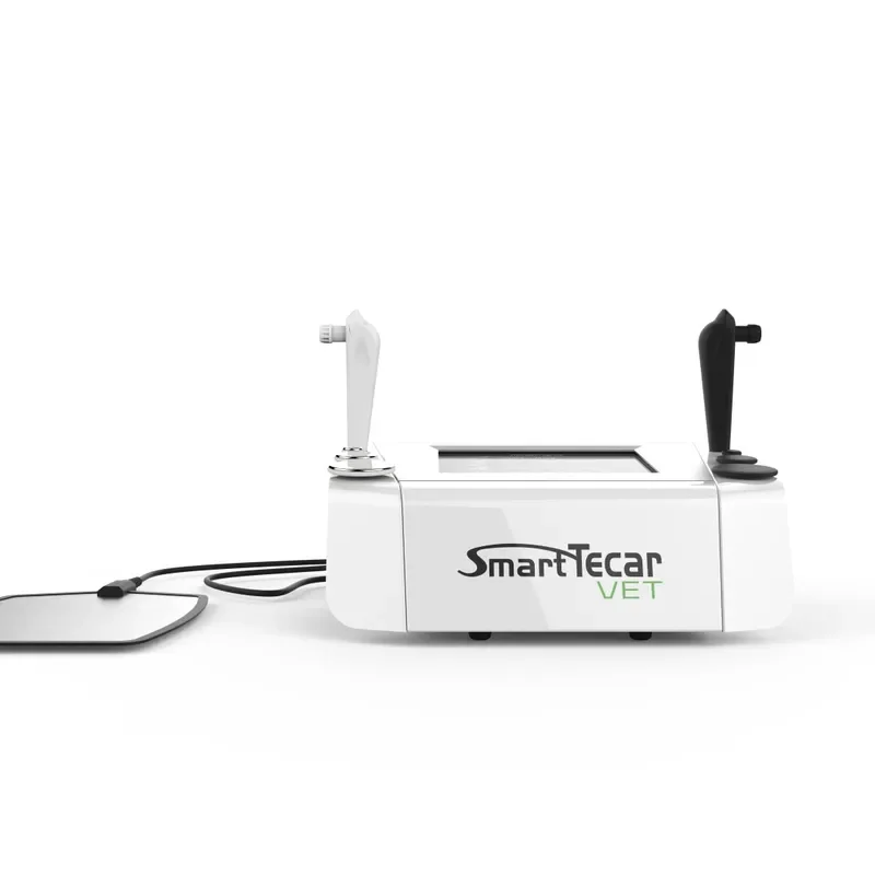 Equine Tecar Therapy Horse Diathermy Physiotherapy Device with 448KHz D80 Handles