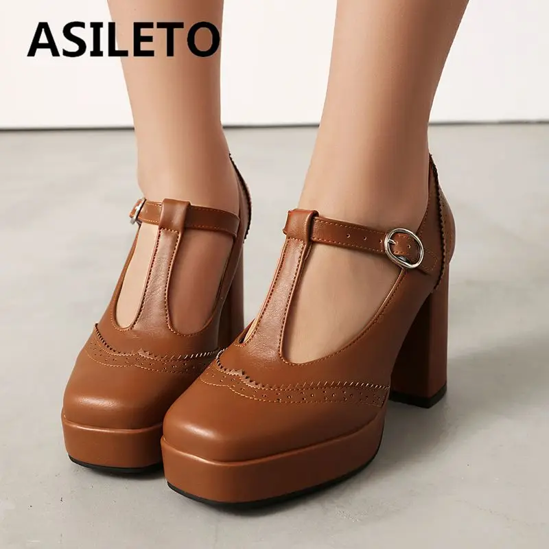 

ASILETO Classic Mary Janes Women Pumps Square Toe Block Heels 9cm Platform 2cm T-Strap Plus Size 41 42 43 Vintage Daily Shoes