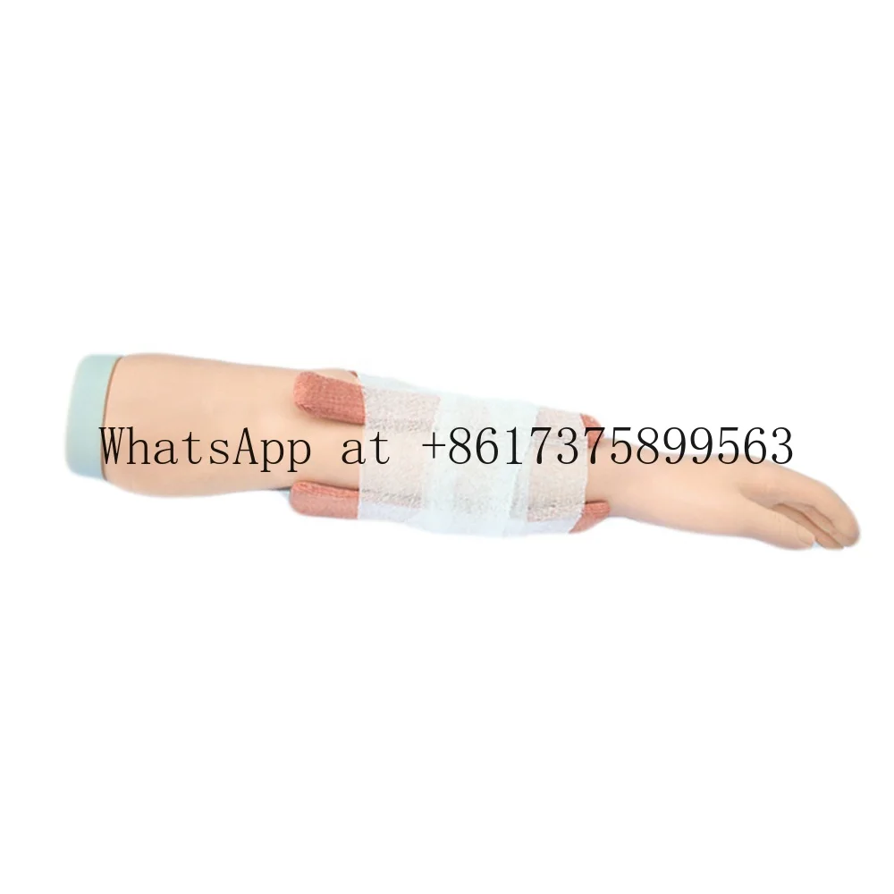 Forearm Fracture Management Training Model Trauma First Aid & Wound Care Simulation Manikin
