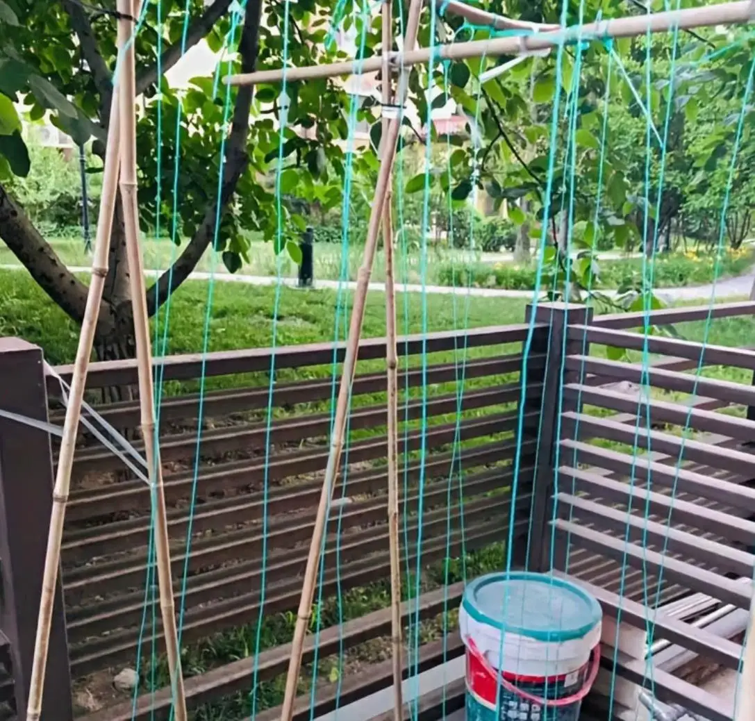 1 Roll Green Nylon Gardening Rope Durable Plant Support Rope For Fixing Vegetables Tomatoes Greenhouse Multi‑use for Fishing Net