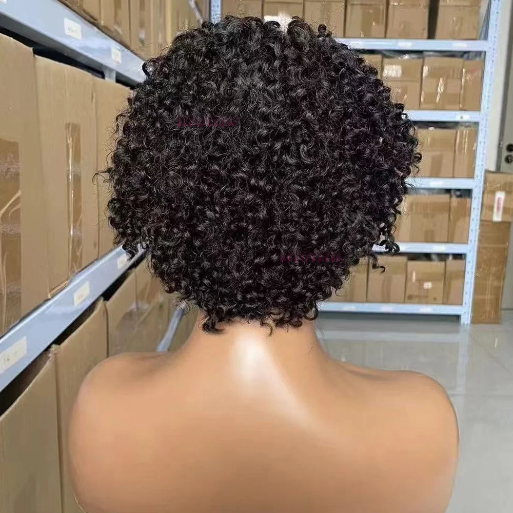 Afro-Lockenperücke 13x4 Lace Frontal 100% Brasilianisches Remy-Haar 6 Zoll Kinky Curly Echthaarperücken mit Zöpfen für Schwarze Frauen – Detail 4
