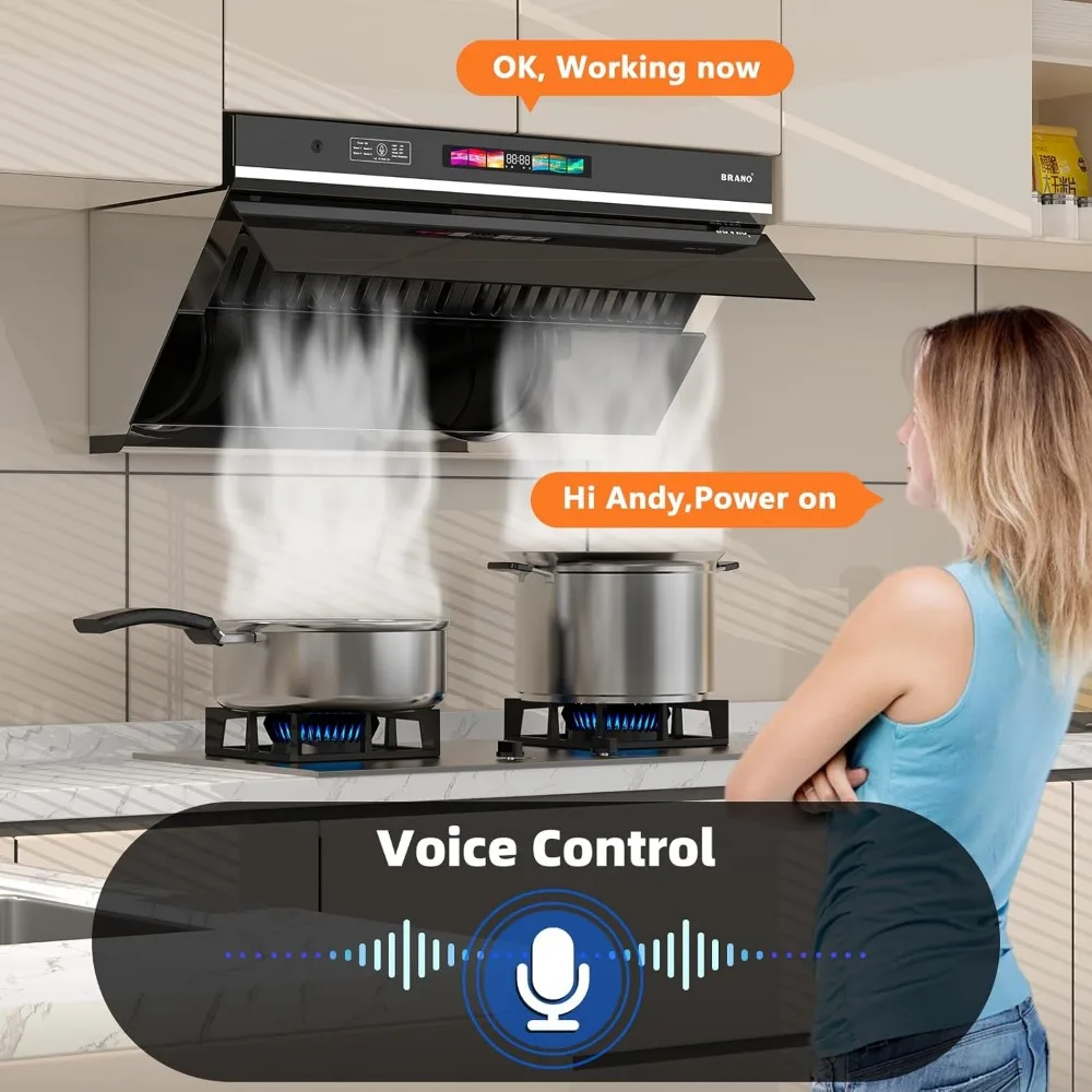 30 Inch Range Hood, 900 CFM Kitchen Hood with Voice/Gesture/Touch Control,Ducted/Ductless Convertiblem4 Speed Exhaust Fan