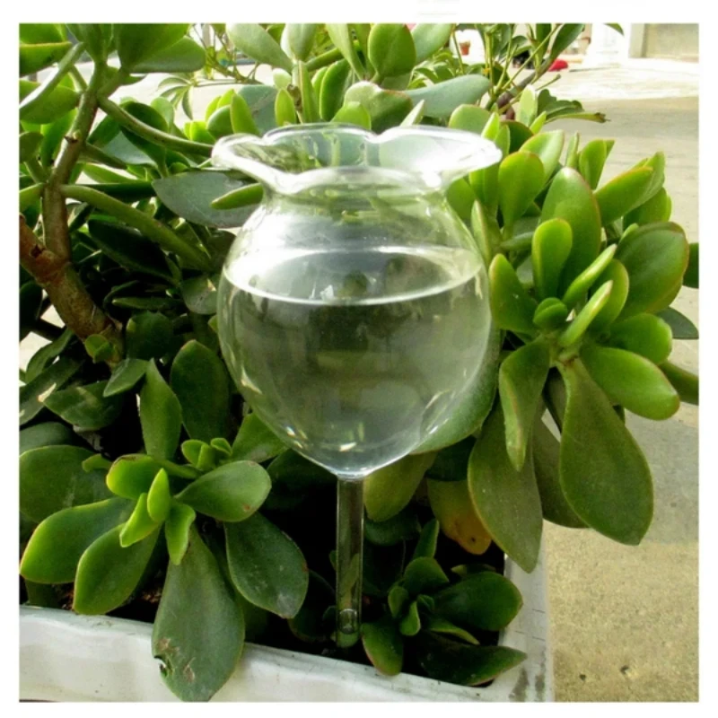 2PCS Waterer Automatic Watering Ball Watering Spike Hand Blown Clear Glass Plant Watering Device