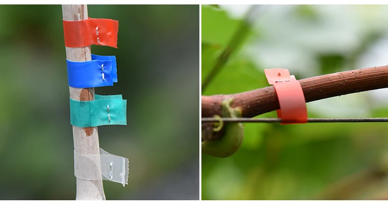 ZC1-Garden Strapping Machine คู่มือโรงงานเครื่องกระชับสาขา Garden Art เครื่องมือ