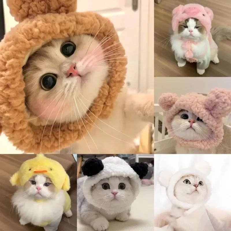 

Cute Lion Mane Frog Cat Wig Hat Cover Funny Pet Cloth Cap Fancy Party Little Dog Cosplay Costume Rabbit Bear Kitten Puppy Hats