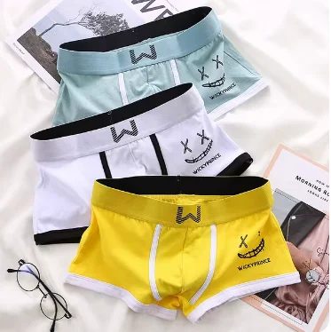 Boxers U-Convexe en Coton pour Homme, Sous-Vêtements Sexy et Confortables, 3 Pièces