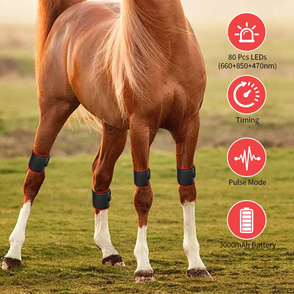 Hot-selling leg injury red light therapy horse hoof near-infrared red light therapy board with built-in battery infrared therapy