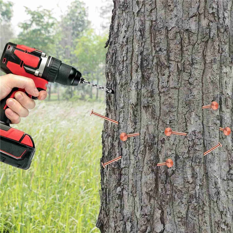 A36T-50 Uds. De clavos de cobre para matar árboles, clavos de cobre puro de 3,5 pulgadas a granel, clavos de Hardware para eliminación de tocones para árboles