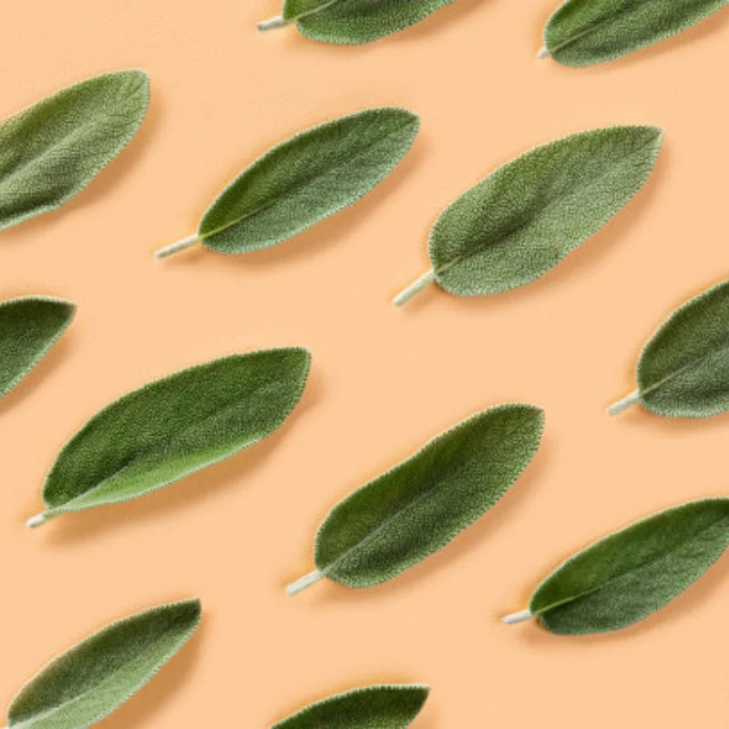 

For MJX R/C Hyper Go 20208 MINI 1/20 R/C cars/Trucks spare parts dog bone/CVD parts