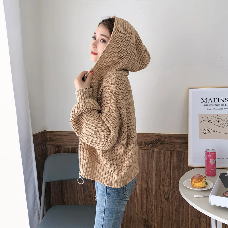 Sweter Kardigan Longgar Berkerudung Musim Gugur dan Musim Dingin Atasan Ritsleting Warna Solid Wanita Baru Pakaian Rajut Kasual Fashion Lengan Panjang