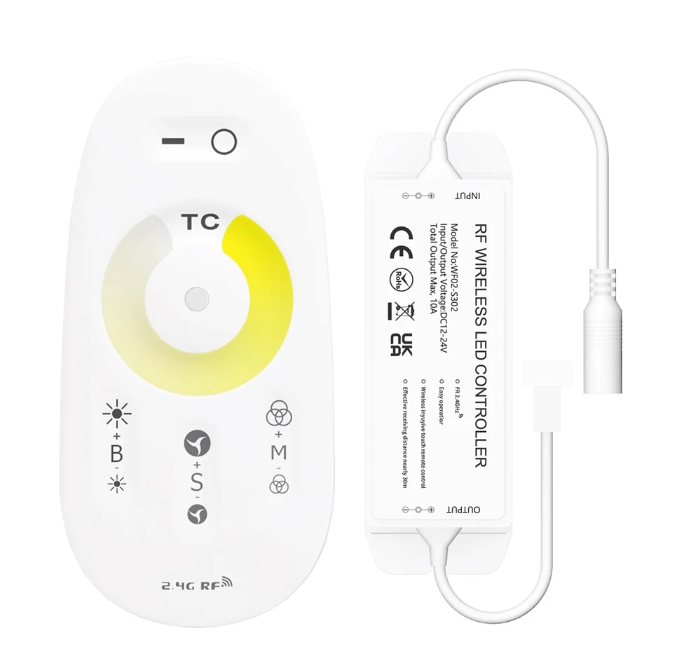 DC12-24V 240W Waterproof IP68 LED Controller 2.4G RF Remote Control Dim RGB RGBW outdoor use for industrial commercail lighting